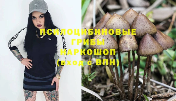альфа пвп Няндома