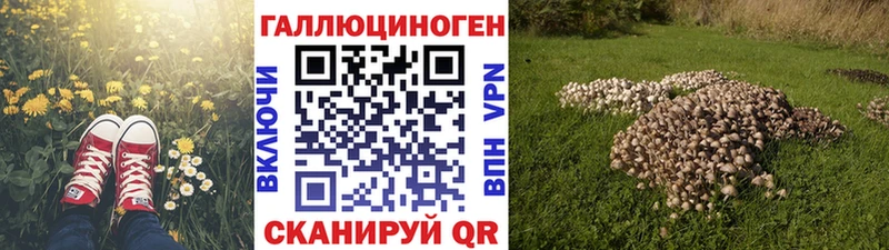 Галлюциногенные грибы MAGIC MUSHROOMS  Починок 
